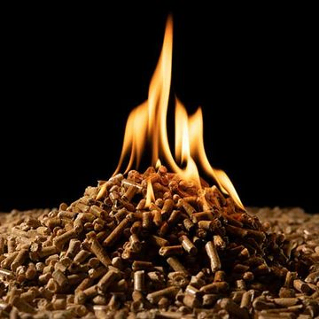 Biomasse - Verbrennung von Holzpellets. Biokraftstoff und erneuerbare Energien.
